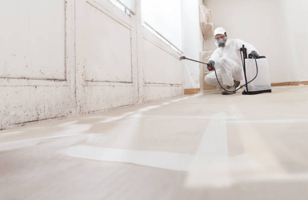 24/7 Emergency Mold Remediation experts in Norwood, NC
