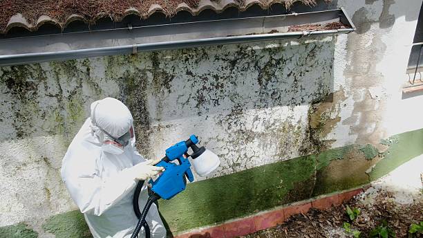 Top rated local Mold Remediation specialists in Norwood, NC